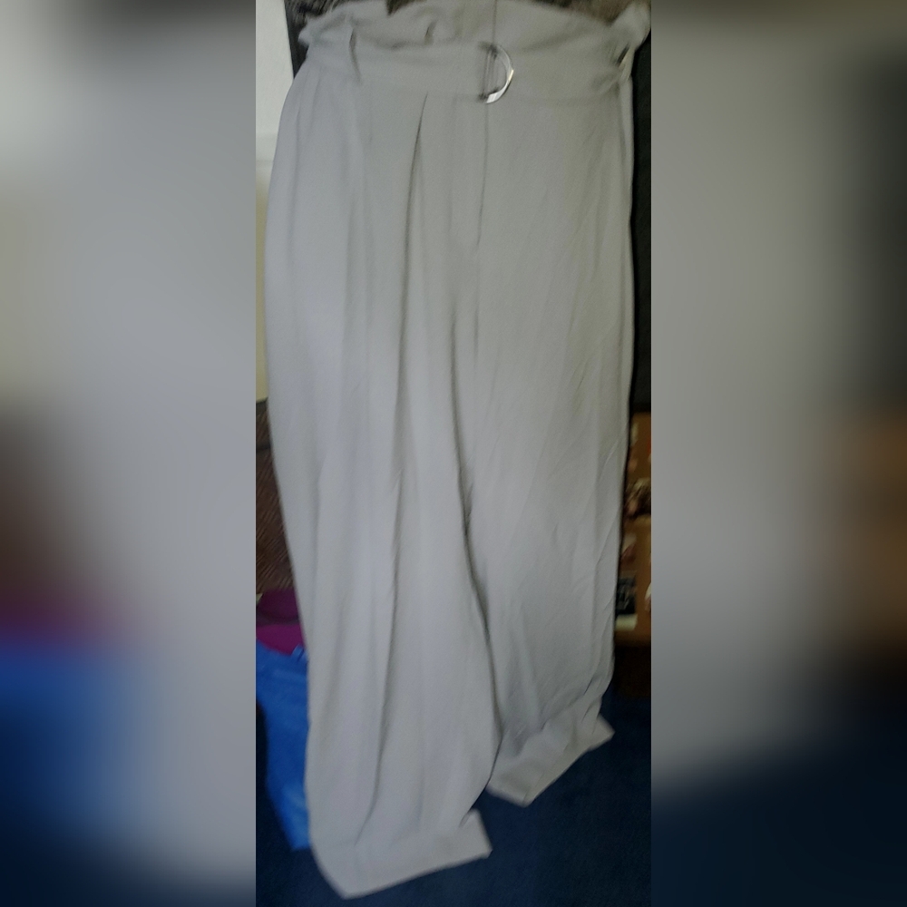 Bar III Suit Seperates. Wide-Leg Gray Trousers with Belt. 24W - Picture 2 of 3